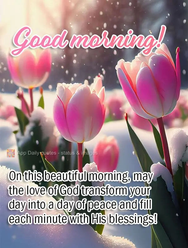 On this beautiful morning, may the love of God transform your day into a day of peace and fill each minute with His blessings! Good morning!