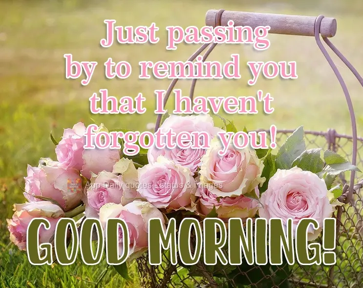Passing by to remind you that I haven't forgotten you! Good Morning!