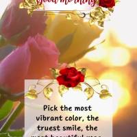 Pick the most vibrant color, the truest smile, the most beautiful rose, and allow yourself to be happy. Good morning!