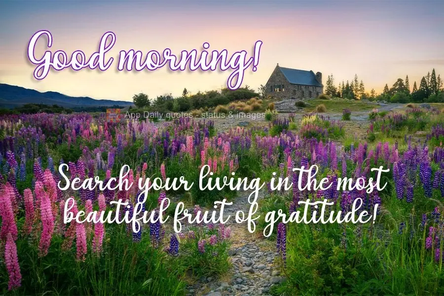 Seek sustenance in the most beautiful fruit of gratitude! Good morning!