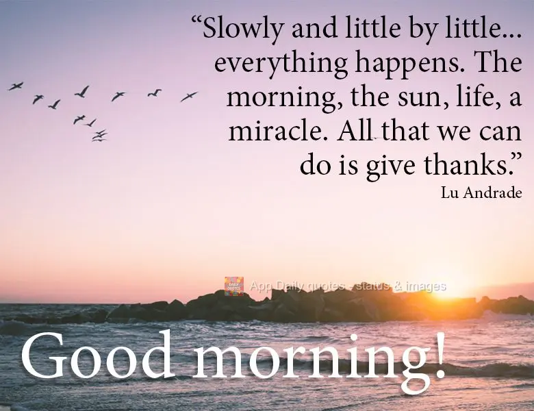 "Slowly, little by little... everything happens. The morning, the sun, life, a miracle. All that we can do is give thanks." Good morning! Lu Andrade