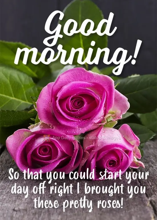 So that you can start your day off right, I brought you these pretty roses!  Good morning! 