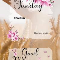 Sunday

Come unto me, all ye that labour and are heavy laden, and I will give you rest. 
Matthew 11:28 Good morning! Matthew 11:28