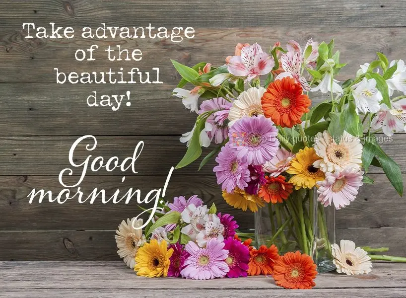 Take advantage of the beautiful day! Good morning!