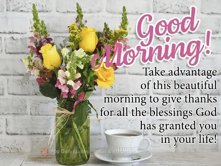 Take advantage of this beautiful morning to give thanks for all the blessings God has granted you in your life! Good morning!