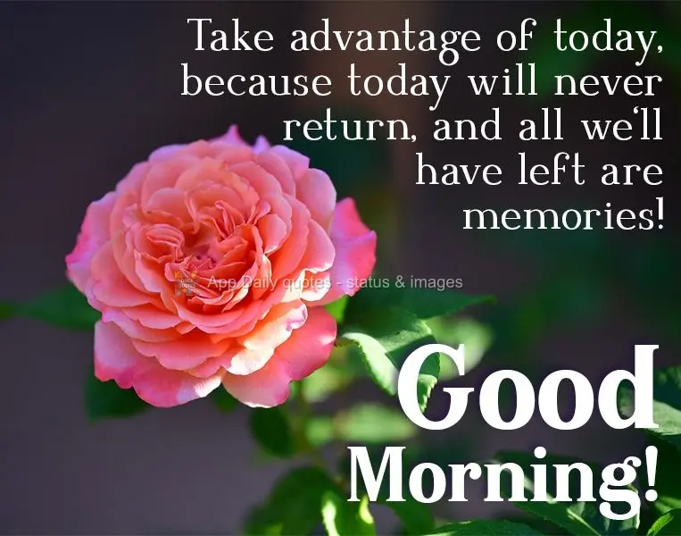 Take advantage of today, because today will never return, and all we'll have left are memories! Good morning!