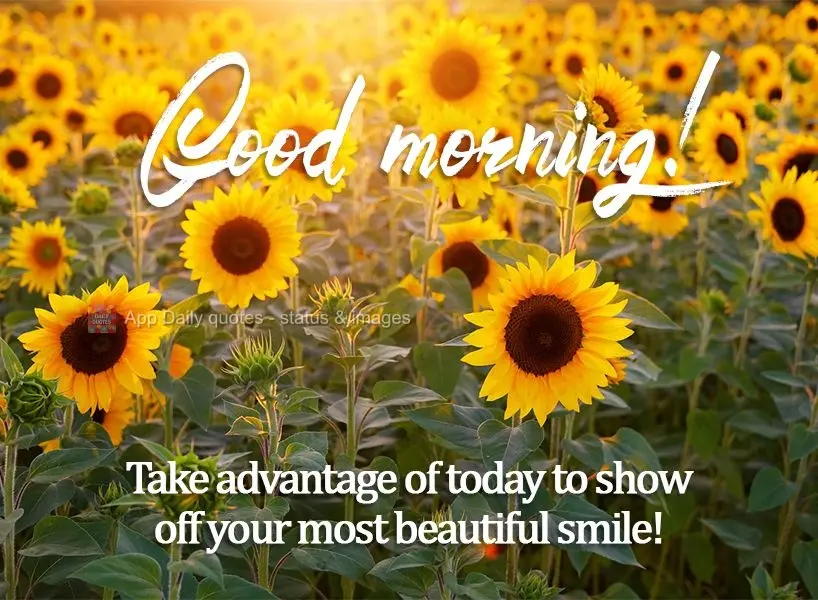 Take advantage of today to show off your most beautiful smile!  Good morning! 