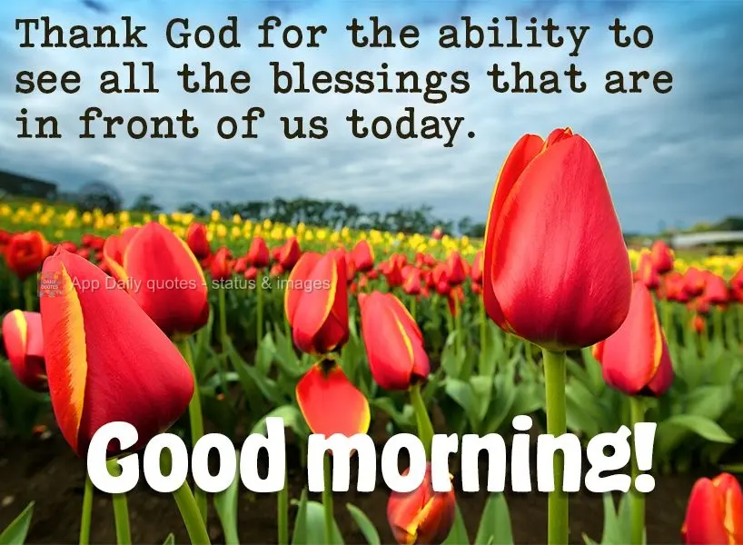 Thank God for the ability to see all the blessings that are in front of us today. Good morning!