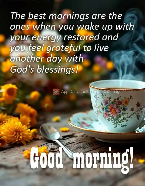 The best mornings are the ones when you wake up with your energy restored and you feel grateful to live another day with God's blessings! Good morning!...