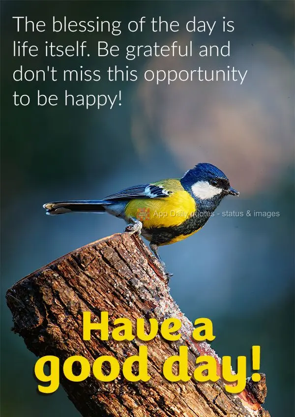 The blessing of the day is life itself. Be grateful and don't miss this opportunity to be happy! Have a good day!