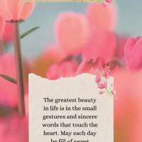 The greatest beauty in life is in the small gestures and sincere words that touch the heart. May each day be fill of sweet messages and love! Good mornin...