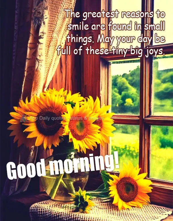The greatest reasons to smile are found in small things. May your day be full of these tiny big joys. Good morning!