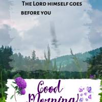The Lord himself will appear before you and be with you; he will never leave you nor forsake you. Do not be afraid! Do not give up! Deuteronomy 31:8 good...