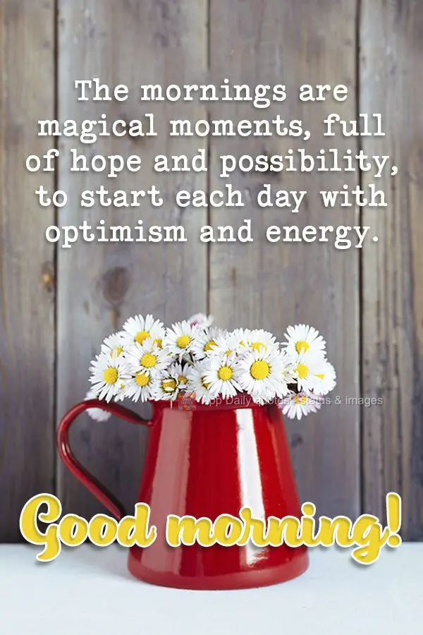 The mornings are magical moments, full of hope and possibility, for starting each day with optimism and energy. Good morning!