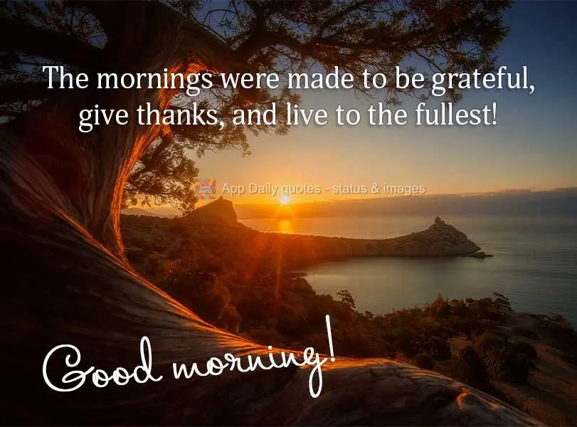 The mornings were made for appreciation, giving thanks, and living to the fullest! Good morning!