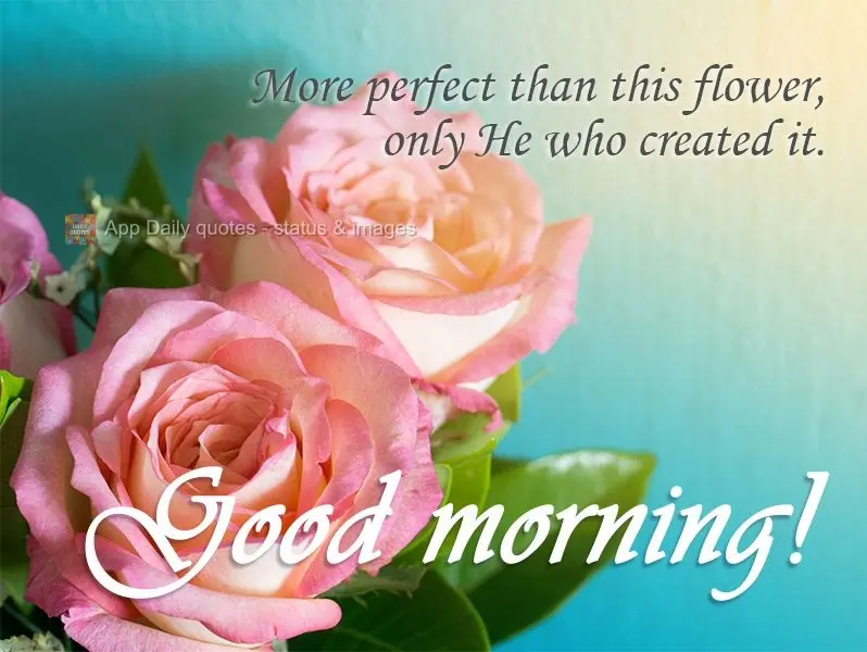 The only thing more perfect than this flower is He who created it. Good morning!