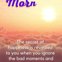 The secret of happiness is revealed to you when you ignore the bad moments and decide to focus on the good ones. Good morning!