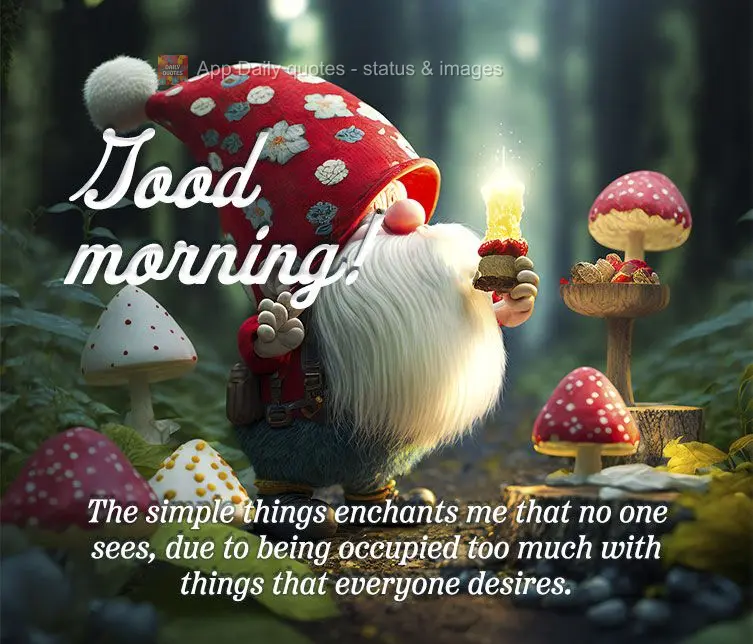 The simple things enchant me. The things that no one sees, because they worry too much about things that everyone wants. Good morning!