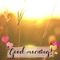 "The steadfast love of the Lord never ceases, His mercies never come to an end; great is Your faithfulness; His mercies are new every morning; ." Good mo...
