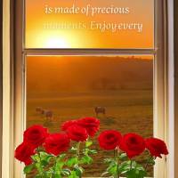 The sunlight coming through my window is a reminder that life is made of precious moments. Enjoy every moment of your day and don't forget to be grateful...