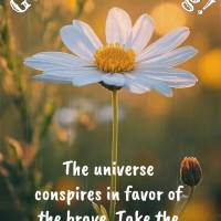 The universe conspires in favor of the brave. Take the first step, even if you are afraid. Good morning!