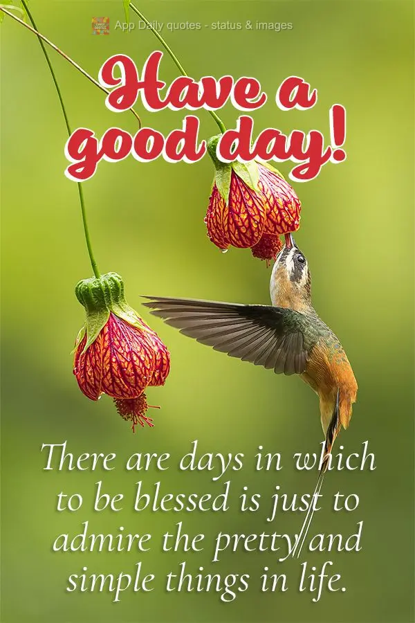 There are days in which being blessed is just admiring the sweet and simple things in life. Have a good day!