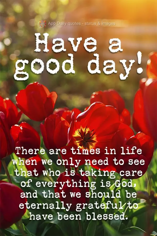 There are times in life when we only need to see that the one taking care of everything is God, and that we should be eternally grateful to have been ble...