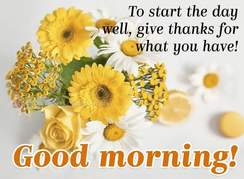 To start the day well, give thanks for what you have! Good morning!