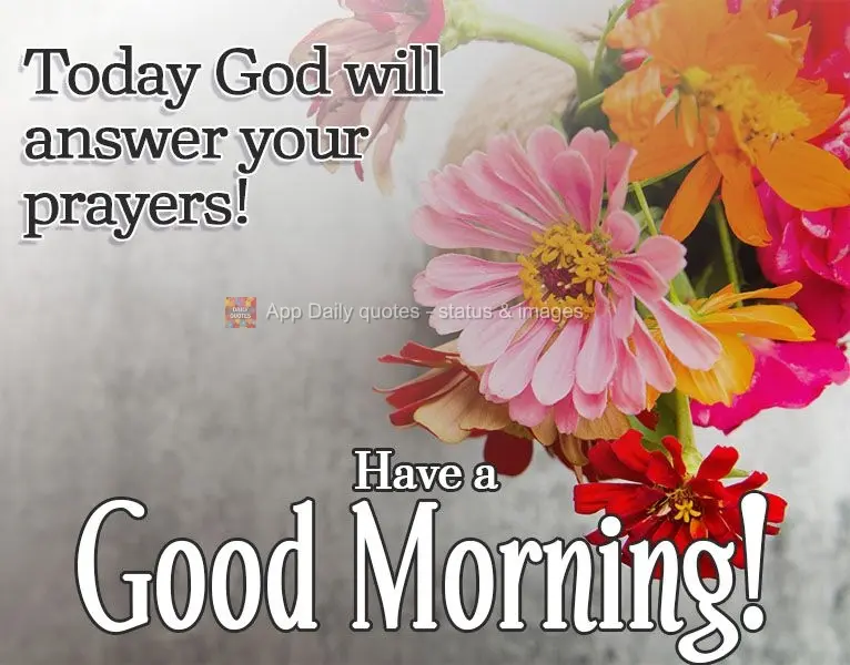 Today God will answer your prayers! Have a Good Morning!