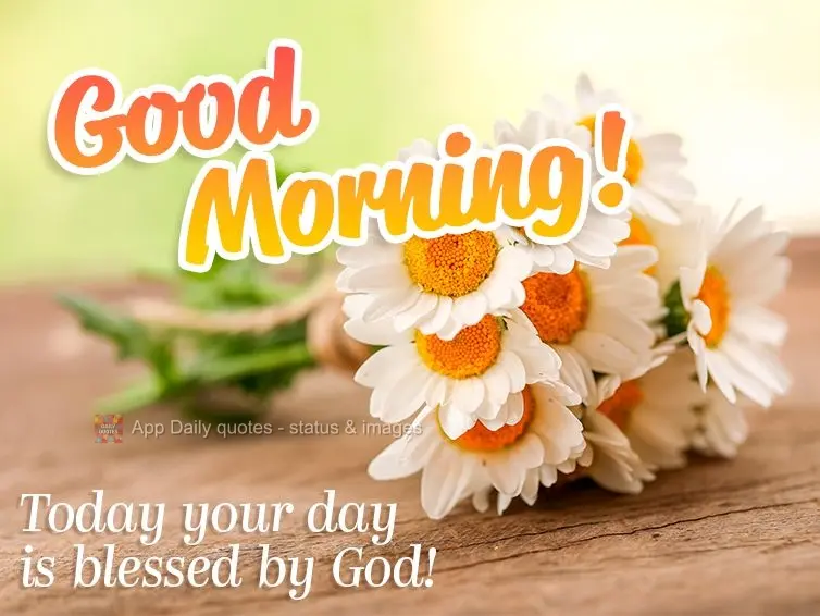 Today your day is blessed by God! Good morning!