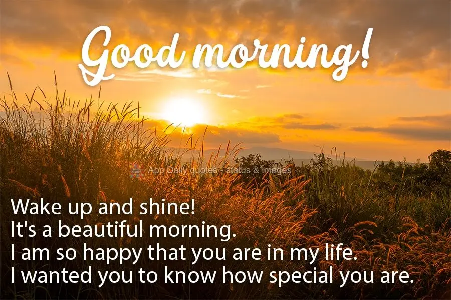 Wake up and shine! It's a beautiful morning. I am so happy that you are in my life. I wanted you to know how special you are. Good morning!