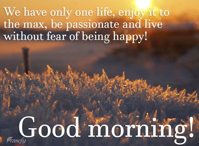 We have only one life, enjoy it to the max, be passionate and live without fear of being happy! Good morning!