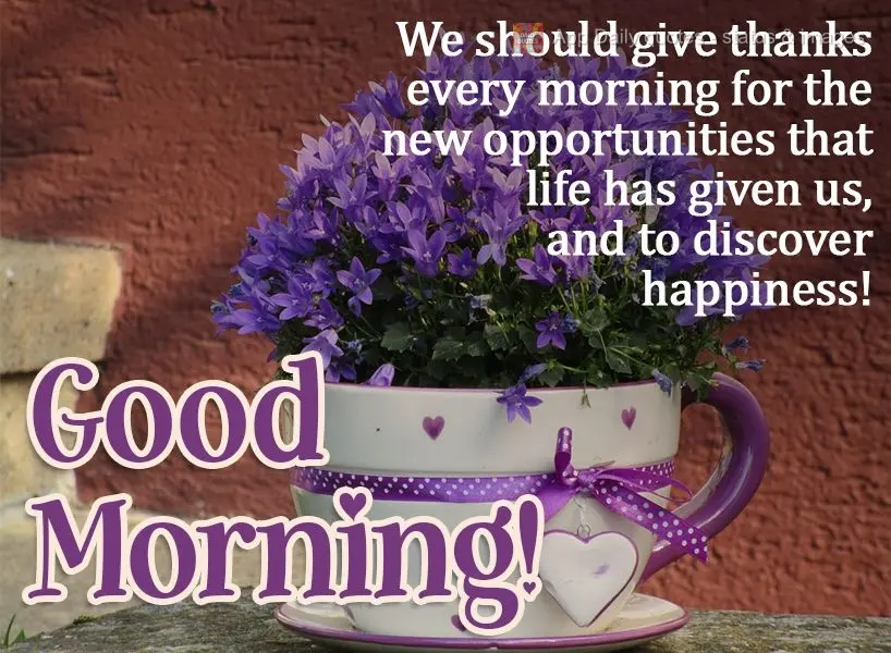 We should give thanks every morning for the new opportunities that life has given us to discover happiness!  Good morning! 