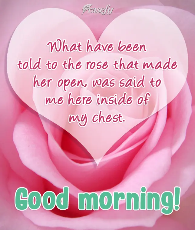 What was said to the rose that made her open was said to me here inside my chest. Good morning!