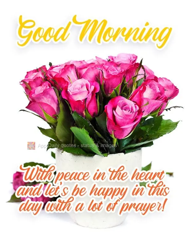 Good morning with peace in the heart. Let's be happy today, and pray a lot!