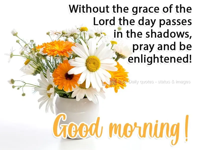 Without the grace of the Lord, the day passes in shadow. Pray and be enlightened! Good morning!