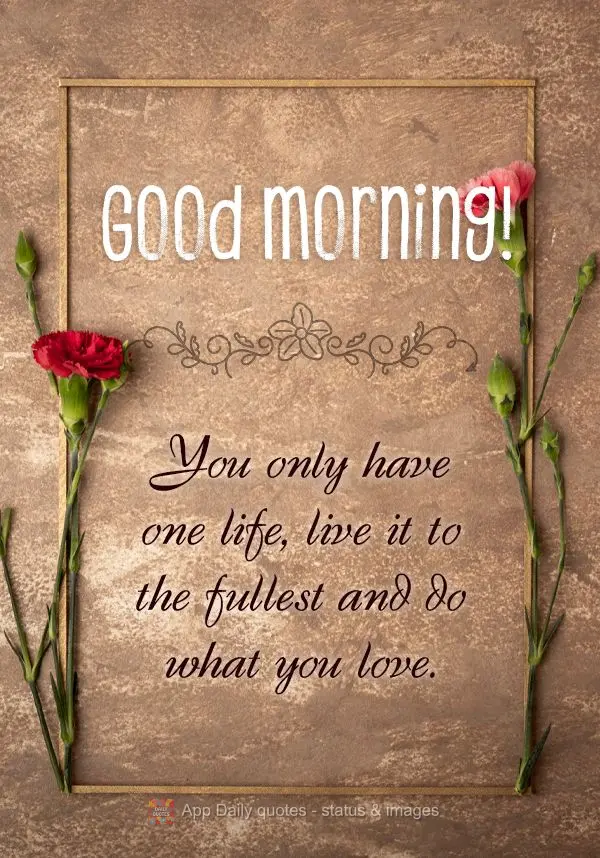 You only have one life, live it to the fullest and do what you love. Good morning!
