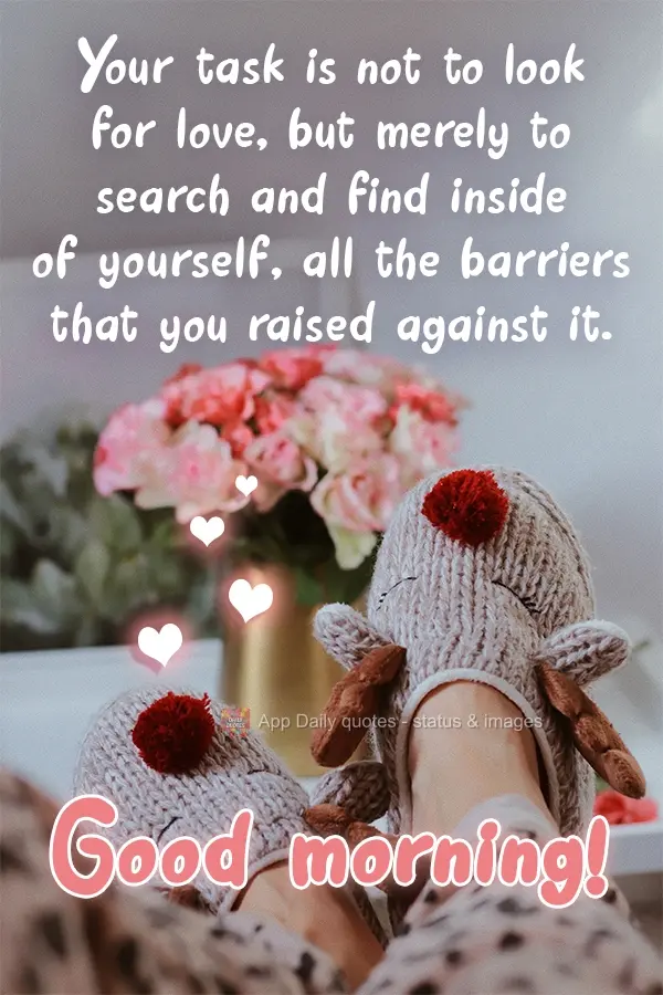 Your task is not to look for love, but merely to search and find inside of yourself all the barriers that you've raised against it. Good Morning!