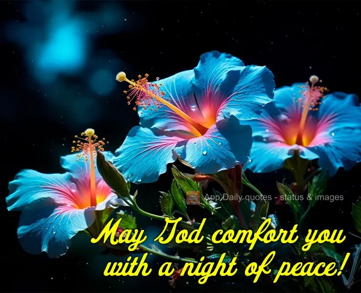 May God comfort you with a night of peace!