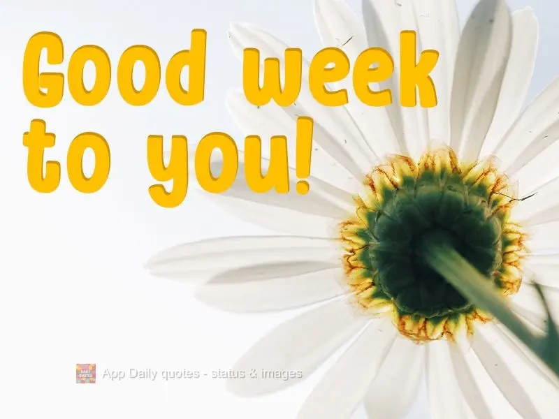 Wishing you a good week!