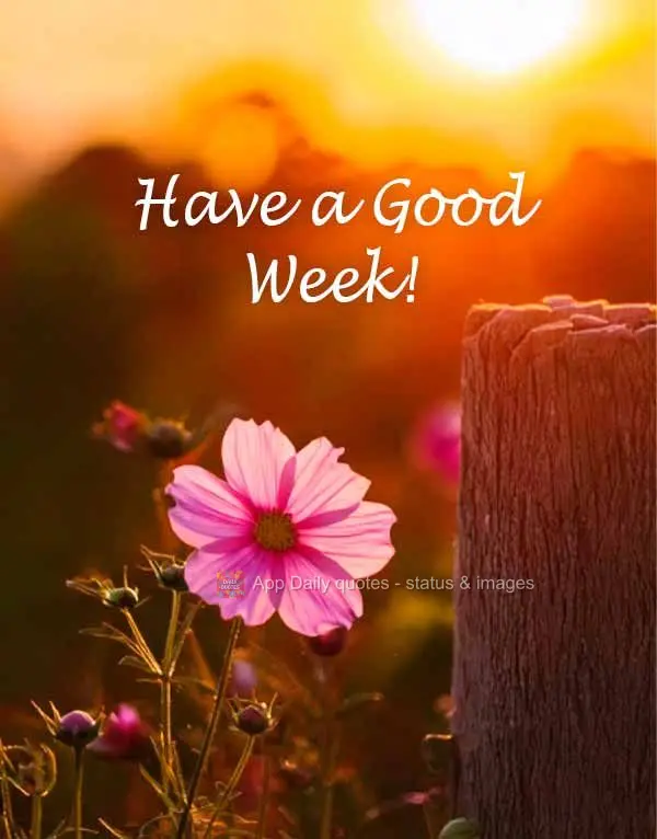 Have a Good Week!