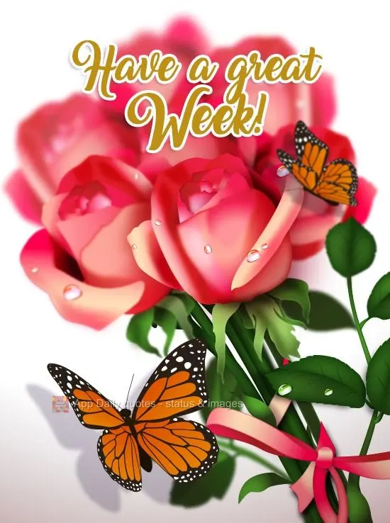 Have a great week!