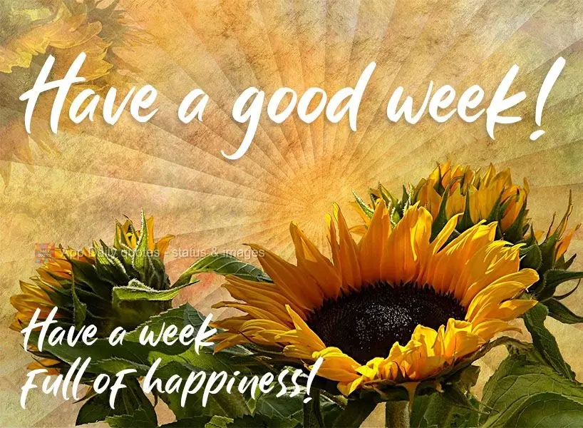 Have a week full of happiness!  Have a good week! 