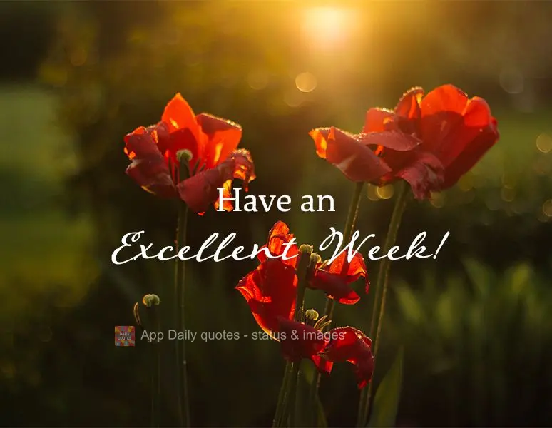 Have an excellent week!