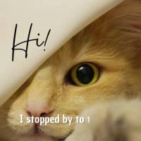 Hi! I stopped by to say to you: Have a good week!