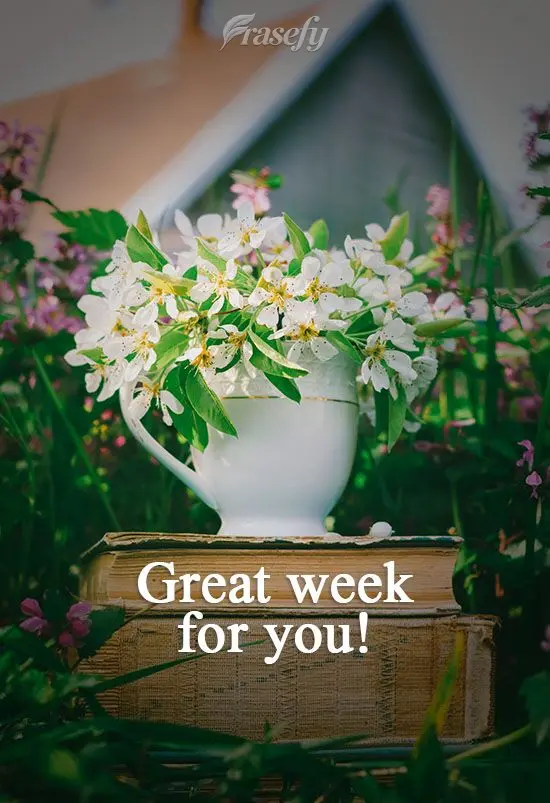 I wish you a great week!