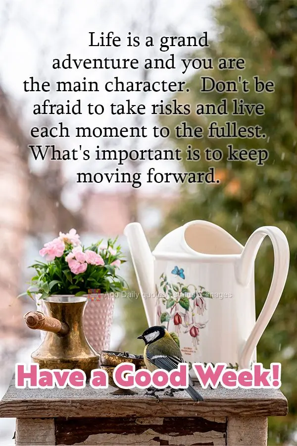 Life is a grand adventure and you are the main character.  Don't be afraid to take risks and live each moment to the fullest. What's important is to keep...