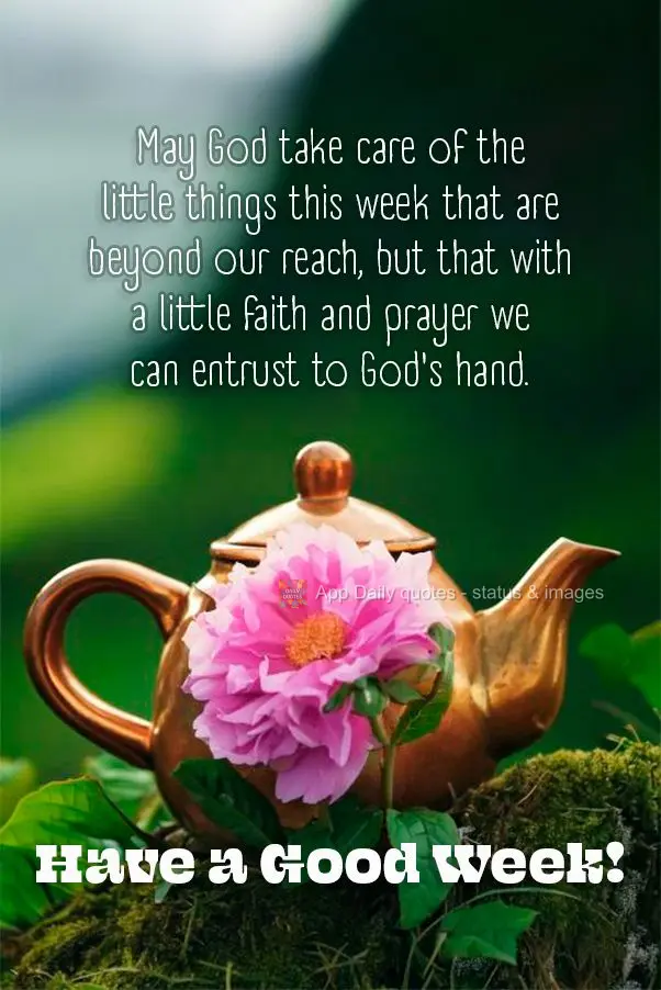 May God take care of the little things this week that are beyond our reach, but that with a little faith and prayer we can entrust to God's hand. Have a ...