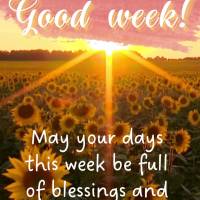 May we have a week full of peace and blessings, and may we not lack faith! Have a good week!