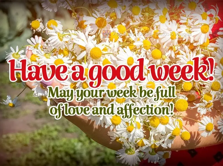 May your week be full of love and affection! Have a good week!